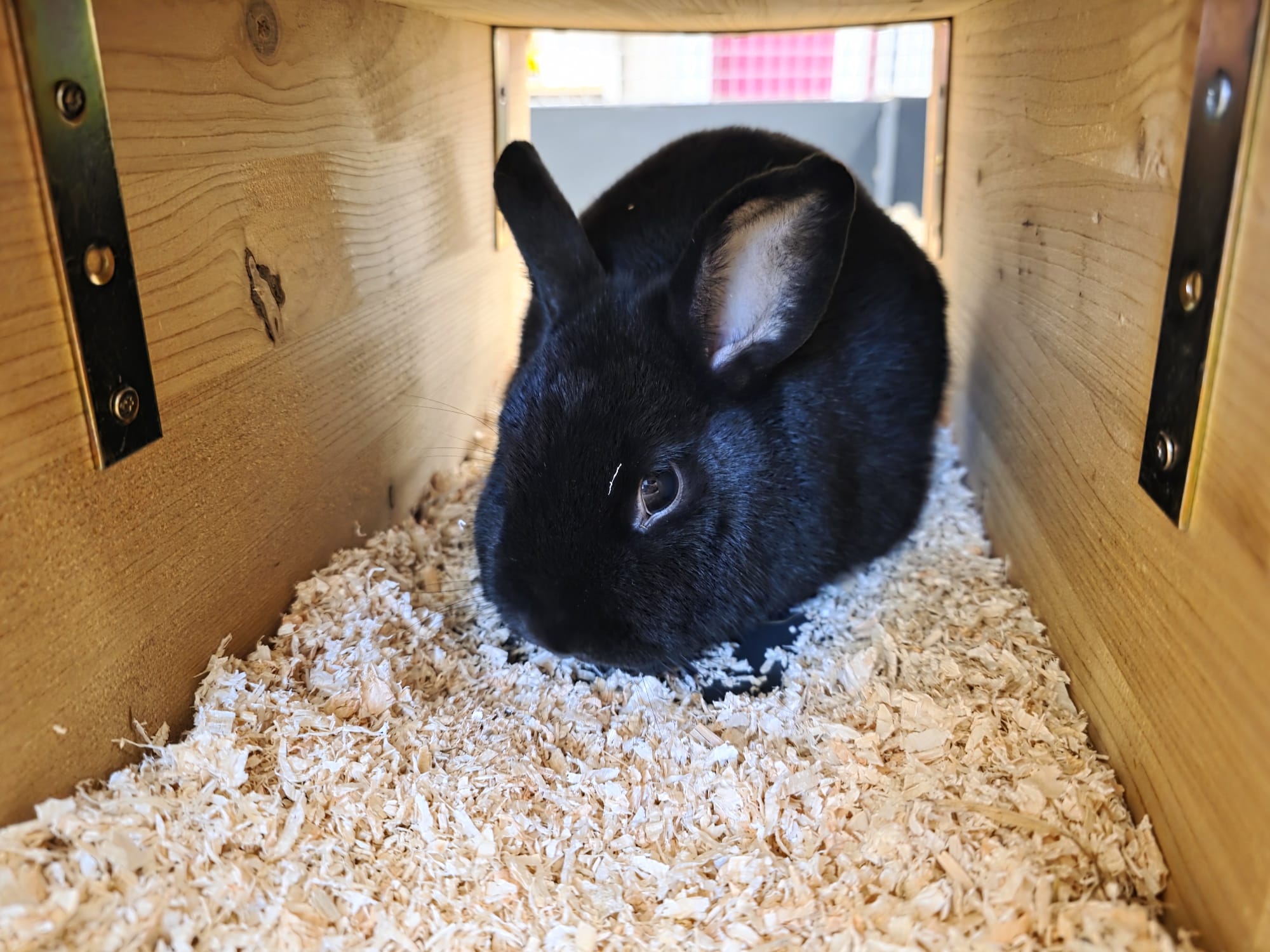 WhatsApp Image 2025-12-14 at 15.05.47.jpeg